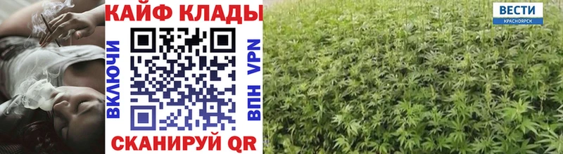 Продажа наркотиков Северодвинск Марихуана  АМФЕТАМИН  Мефедрон  Псилоцибиновые грибы  A PVP 